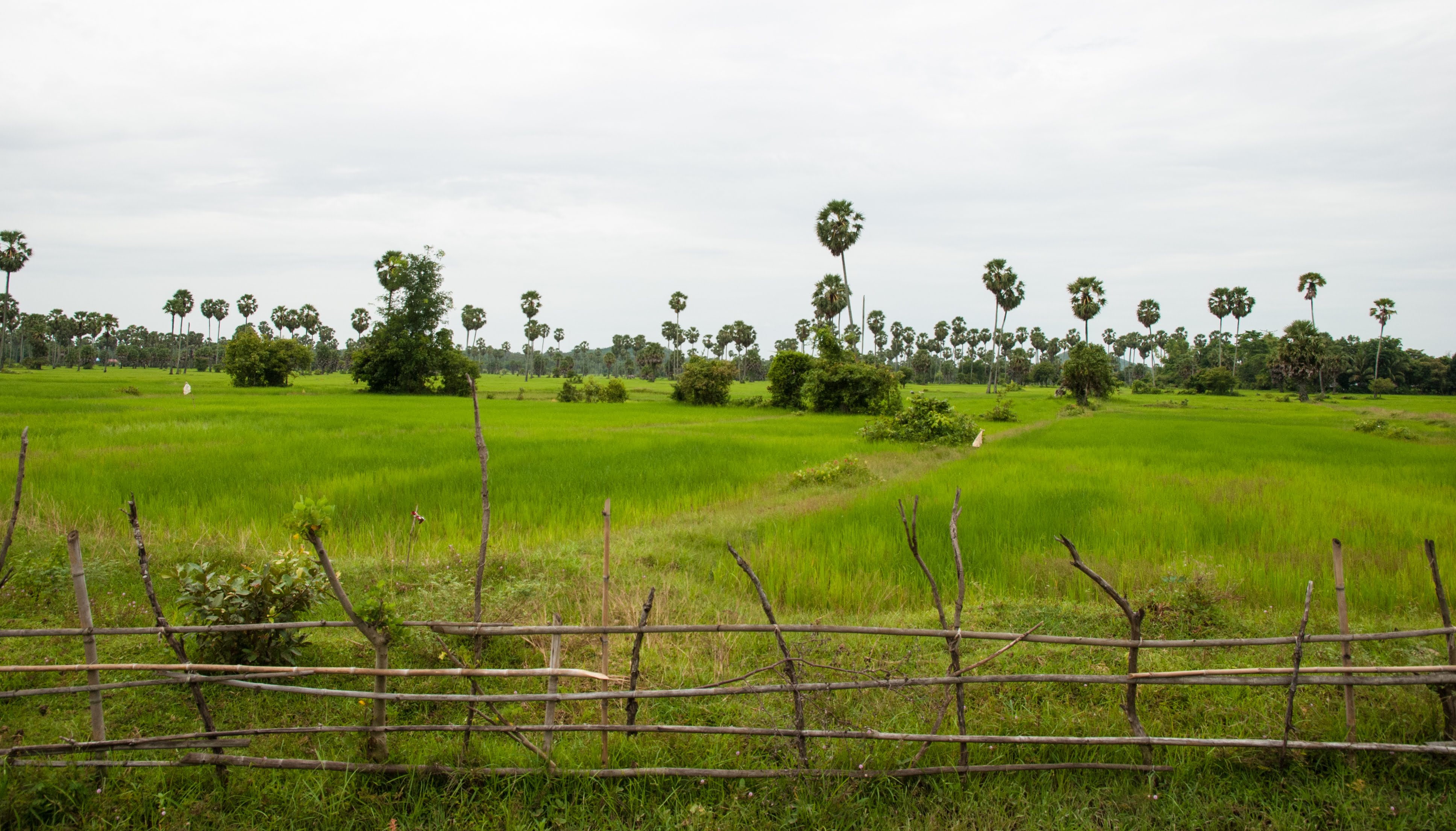 Battambang e dintorni : dentro la Cambogia